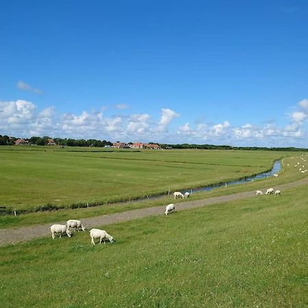 De Oostkamer; Eiland Appartement Naast Natuurgebied Boschplaat Oosterend  ภายนอก รูปภาพ