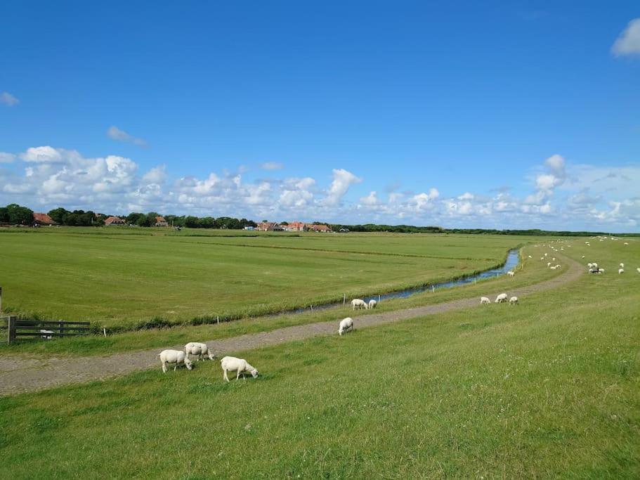 De Oostkamer; Eiland Appartement Naast Natuurgebied Boschplaat Oosterend  ภายนอก รูปภาพ