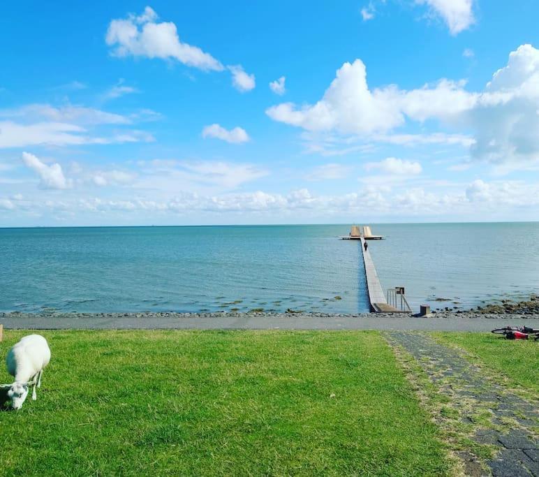 De Oostkamer; Eiland Appartement Naast Natuurgebied Boschplaat Oosterend  ภายนอก รูปภาพ